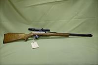 Coast to Coast Model 40 22LR