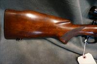 Winchester Pre 64 Model 70 243Win Varmint Img-3