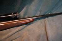 Winchester Pre 64 Model 70 243Win Varmint Img-4