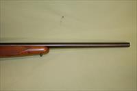 Ruger No. 1 204 Ruger