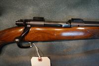 Winchester Pre 64 Model 70 243Win Varmint Img-2
