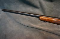 Winchester Pre 64 Model 70 243Win Varmint Img-6