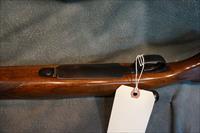 Winchester Pre 64 Model 70 243Win Varmint Img-7