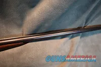 Bayard 12ga SxS Boxlock Engraved