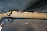 Custom Model 700 270Win