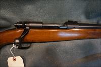 Winchester Pre 64 Model 70 243Win Varmint  Img-2