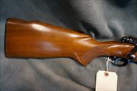 Winchester Pre 64 Model 70 243Win Varmint  Img-3