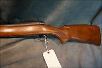 Winchester Pre 64 Model 70 243Win Varmint  Img-4