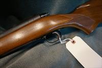 Winchester Pre 64 Model 70 243Win Varmint  Img-7