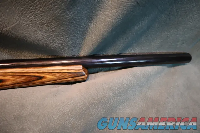 OtherRuger  Other10/22 Target  Img-3