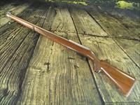 Ruger 10/22 International TALO Exclusive 18.5" Stainless 22 LR New (01264)