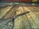 Winchester Model 70 Stainless 30-06 Used 22" (ConsRD)