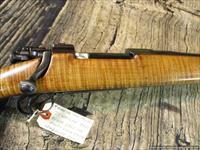 Springfield Remington   Img-3