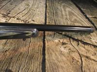 Ruger American Rimfire 18" Threaded 17 HMR New (08350)