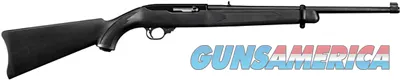 Ruger 10/22 Carbine 1151