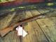 Springfield Armory M1A Standard Walnut 308 Win/ 7.62 NATO 22" New (MA9102)