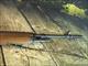 Springfield Armory M1A Standard Walnut 308 Win/ 7.62 NATO 22" New (MA9102)