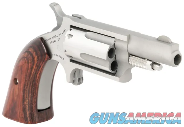 NAA Mini Revolver 22 WMR 1.63" 5 Round New (22MGBG)