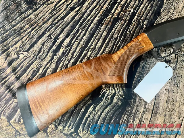 Remington 870 Express  Img-2