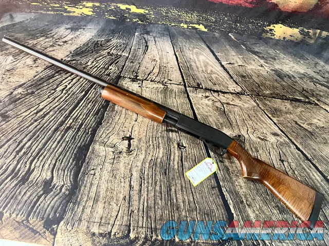 Remington 870 Express  Img-5