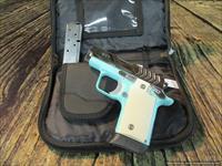 Springfield Armory  PG9109VBS  Img-5
