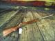Savage Model 12 VLP 22-250 Rem 4+1 Used 26" Stainless (68711)