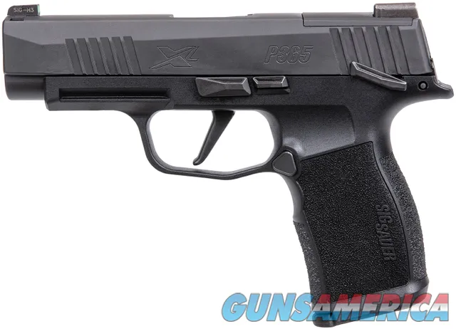 SIG SAUER P365 XL 798681663910 Img-2