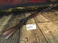 HENRY REPEATING ARMS CO H012  Img-1