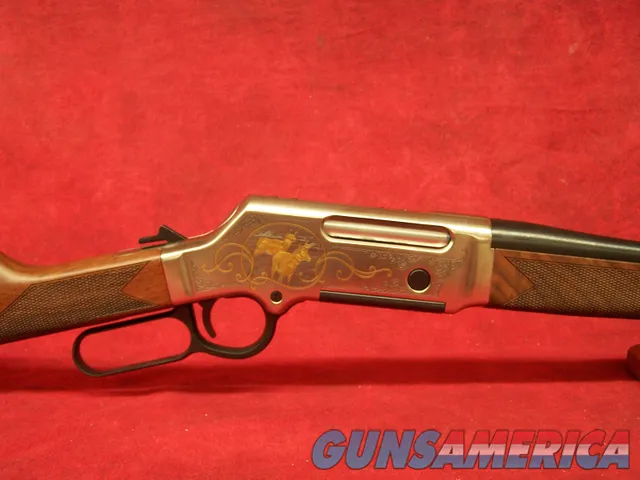 HENRY REPEATING ARMS CO 619835300140  Img-2