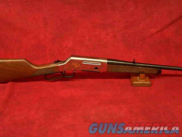 HENRY REPEATING ARMS CO 619835300140  Img-1