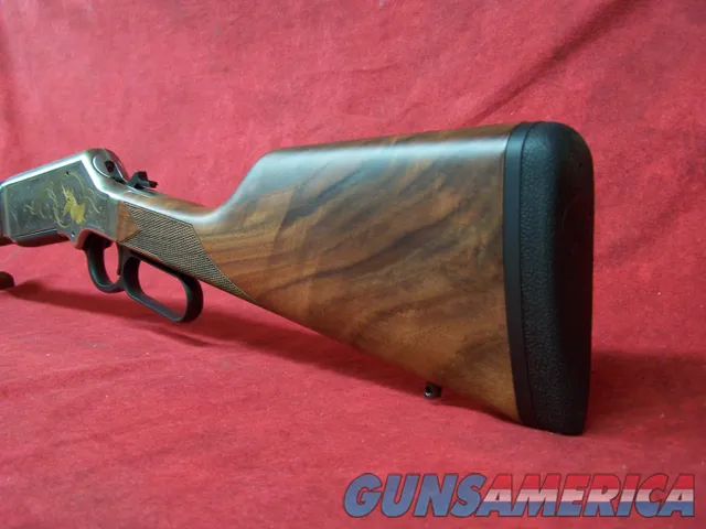 HENRY REPEATING ARMS CO 619835300140  Img-6