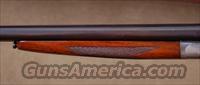 L.C. Smith Field Grade 20ga. , 90% CASE COLOR, CURTIS FOREND FASTENER