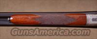 L.C. Smith Field Grade 20ga. , 90% CASE COLOR, CURTIS FOREND FASTENER