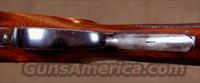 L.C. Smith Field Grade 20ga. , 90% CASE COLOR, CURTIS FOREND FASTENER