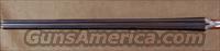 L.C. Smith Field Grade 20ga. , 90% CASE COLOR, CURTIS FOREND FASTENER