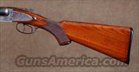 L.C. Smith Field Grade 20ga. , 90% CASE COLOR, CURTIS FOREND FASTENER