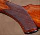 L.C. Smith Field Grade 20ga. , 90% CASE COLOR, CURTIS FOREND FASTENER