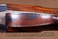 W. Leech and Sons 20 Bore BOXLOCK, EXTRACTOR, ENGLISH GRIP, 5LBS. 7OZ.