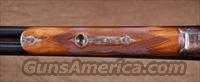 Parker Reproduction DHE 20ga.  ENGLISH BUTT, DBL TRIGGER, GREAT WOOD Img-11
