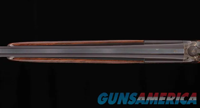 Connecticut Shotgun   Img-18