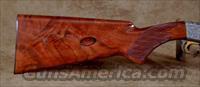 Browning .22 Auto Rifle- BELGIUM MADE, ANGELO BEE W/5 GOLD INLAYS Img-7