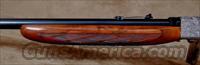 Browning .22 Auto Rifle- BELGIUM MADE, ANGELO BEE W/5 GOLD INLAYS Img-13