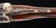 Fox HE Super Fox 12 Gauge – 32”, 1 OF 950 MADE, NICE!, vintage firearms inc 