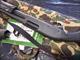 REMINGTON 870 EXPRESS 12GA