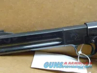 COLT .22 LONG MATCH TARGET