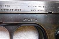 Colt   Img-4