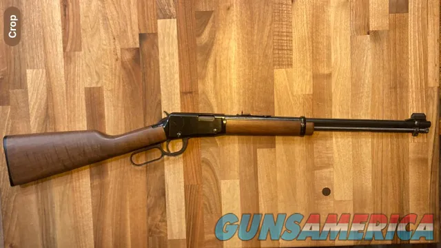 Henry Repeating Arms Lever Action  Img-1