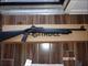 Citadel Warthog 2 .12 gauge semi auto
