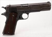 Colt    Img-21