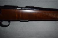 CZ 452 American
